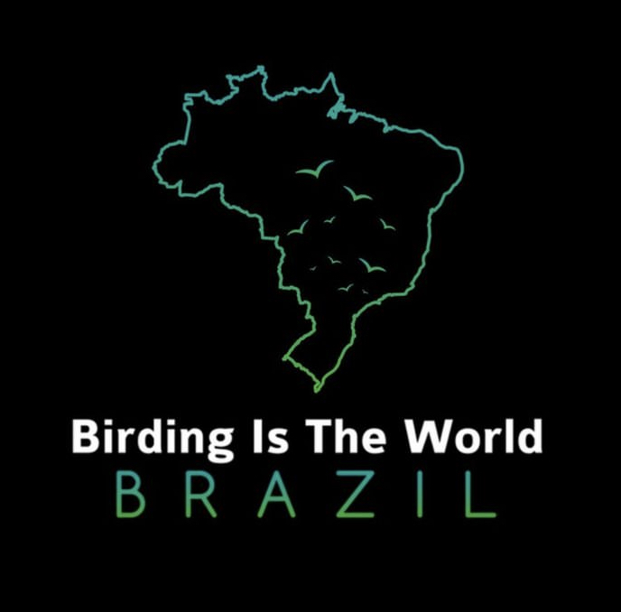 Writer: Birding Is The World Brazil