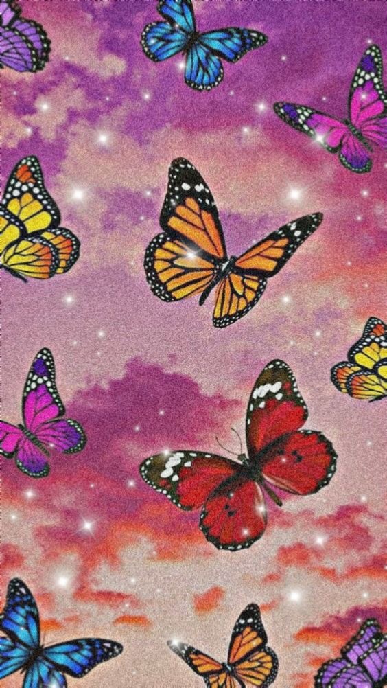 Writer: Farah Ocean