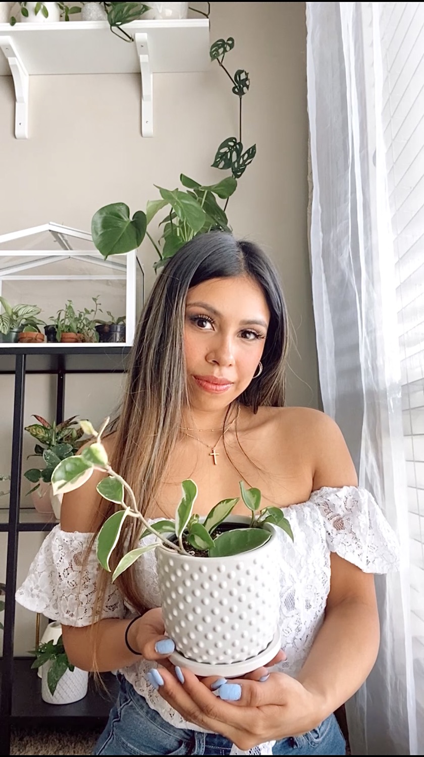 Writer: Erica Perez