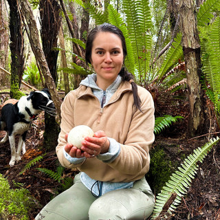 Writer: Michaela Insley