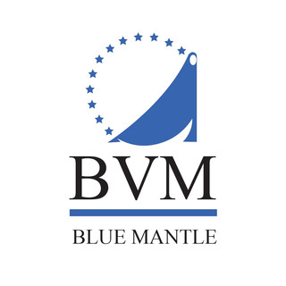 Writer: BVM Blue Mantle LLC Angelo Libutti