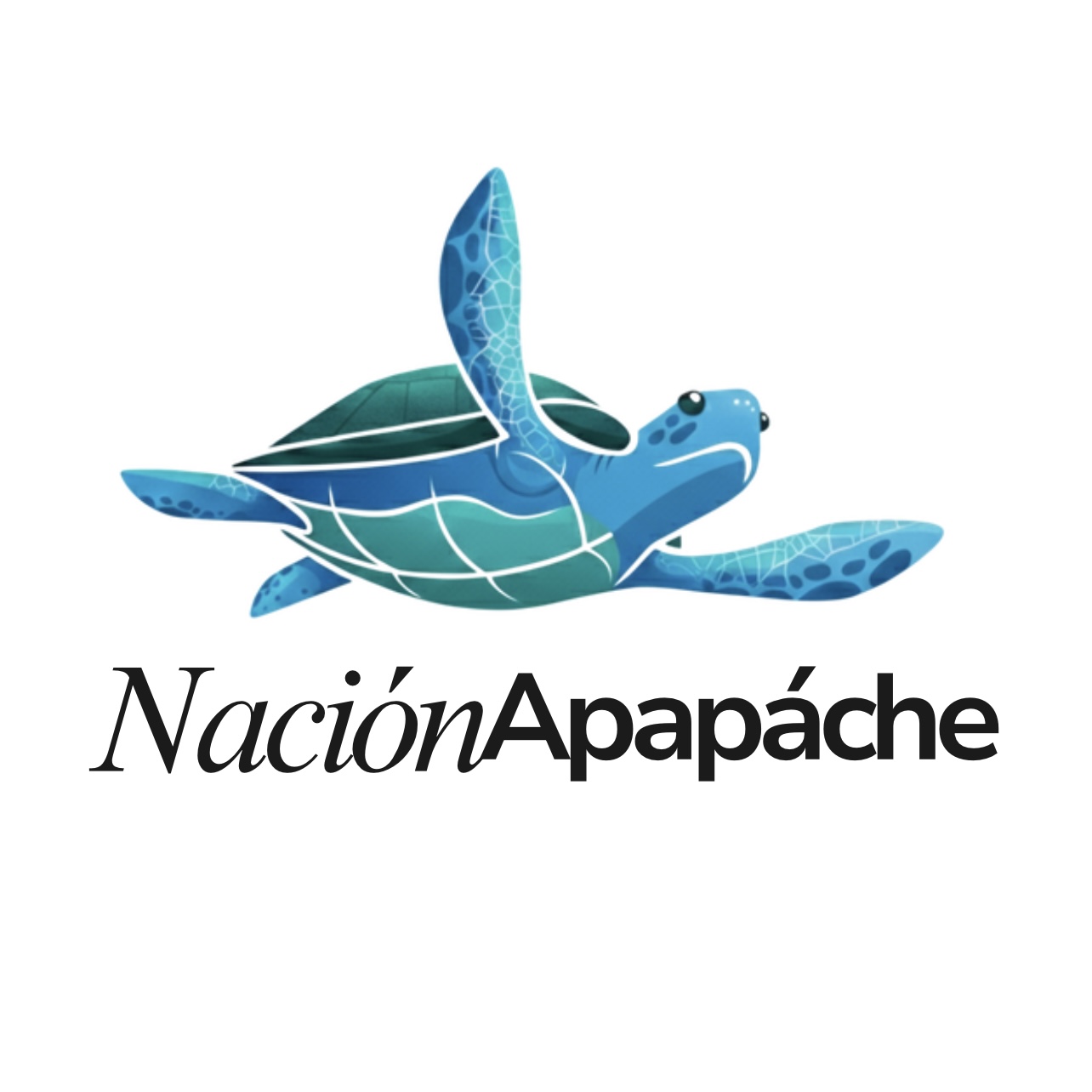 Foto del escritor: Nación Apapáche