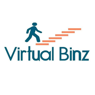 Writer: Virtual Binz