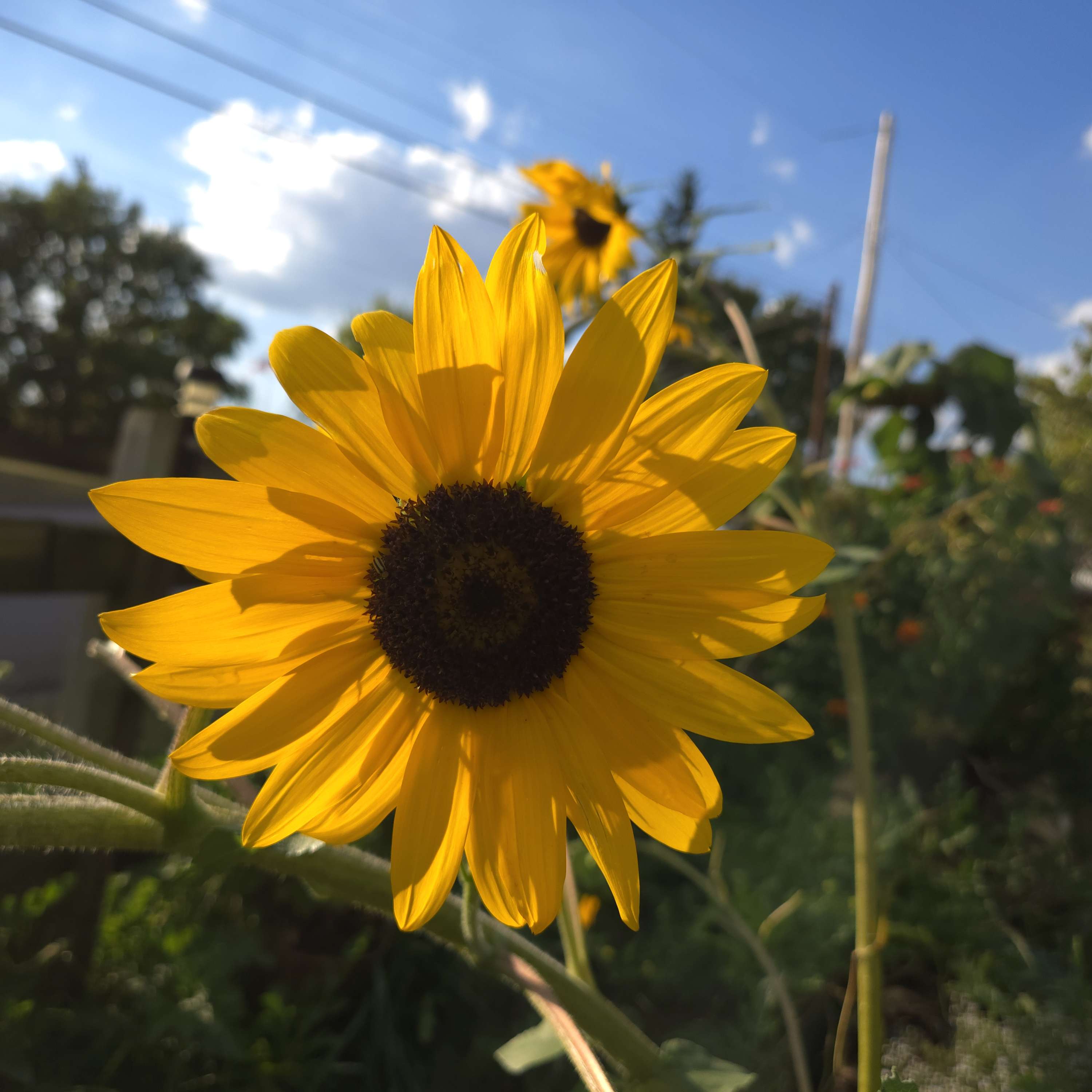 Writer: Andrea Ramsey