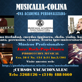 Foto del escritor: Centro cultural Musicalia Una academia personalizada