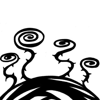 Writer: Ramblin' Rose Explores