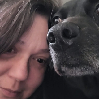 Writer: Katherine Willow Ryan