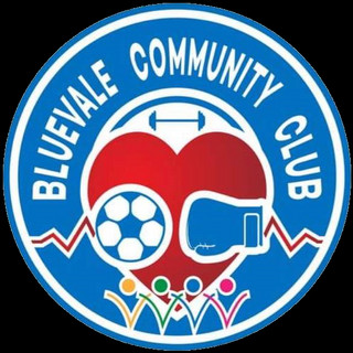 Writer: Bluevale Community Club
