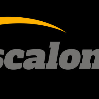 Writer: escalonfit