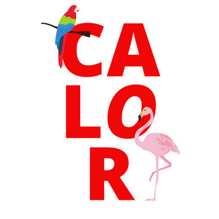 Writer: CALOR BLOG