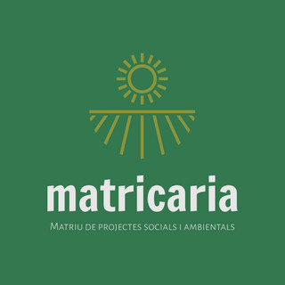 Foto del escritor: Matricària 