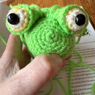 Writer: Dianne MacGillivray