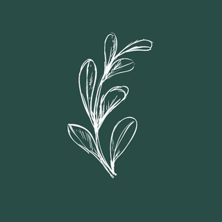 Writer: healnbuild