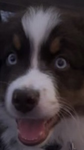 Writer: NinJoose Joshua