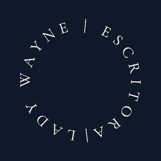 Foto do escritor: ladywaynewriter