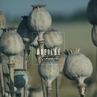 Writer: Aveille Landscape