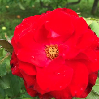 Photo du rédacteur: Debra Marsh