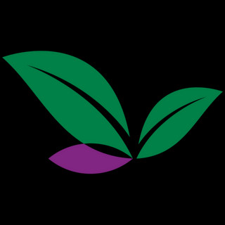 Writer: Roots-Flora