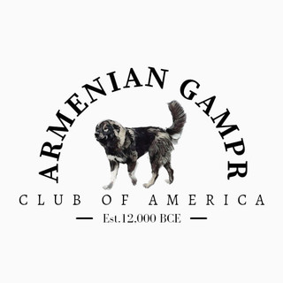 Writer: Gampr Club