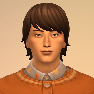Photo du rédacteur: ongatheringsims