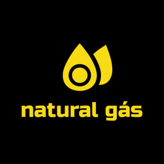 Foto do escritor: Natural Gás