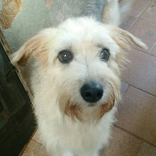 Foto do escritor: Sergio Moura