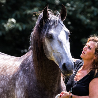 Foto van schrijver: Katinka Manders