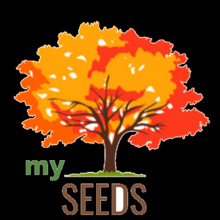 Writer: My Seeds