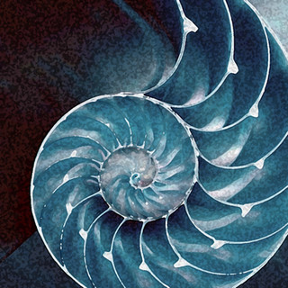 Writer: Candace Stidham