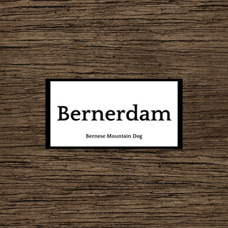 執筆者の写真: bernerdam