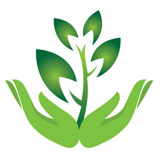 Foto do escritor: Starosky Plantas Ornamentais