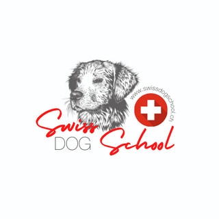 Writer: SwissDogSchool Hundeschule Zürich