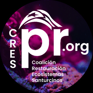 Foto del escritor: cresprorg