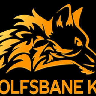 Writer: Belgian Malinois protection Dogs