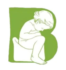 Foto do escritor: Bebê sem Fralda Brasil