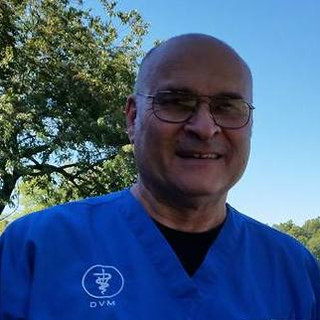 Writer: James L. Smith DVM