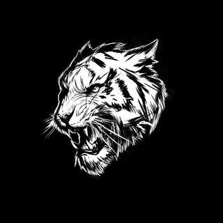 Writer: Daniel Gitik