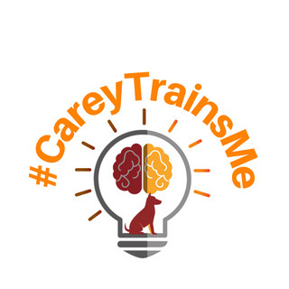 Writer: Carey Bolduc