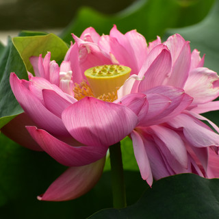 Immagine del redattore: Agnese Nespoli