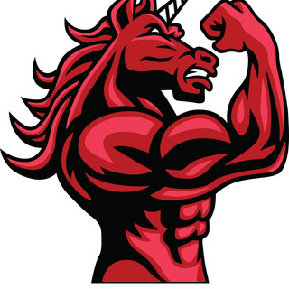 Foto del escritor: unifitt11