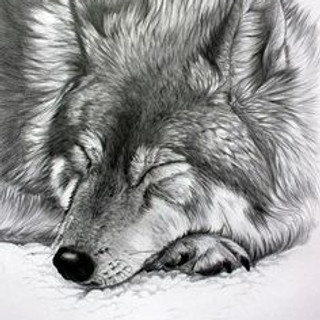 Writer: wolf101