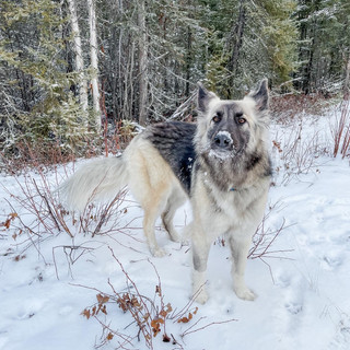 Writer: Taylore Matheson