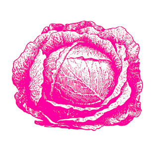 Writer: Cabbage Patch Bakery