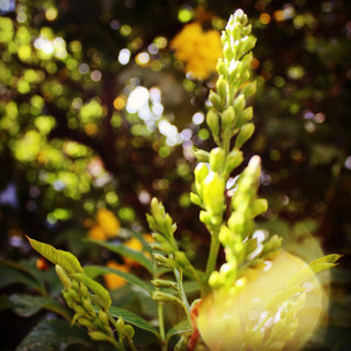 Foto del escritor: Frequency Colors