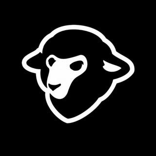 Writer: Black Sheep Enterprises