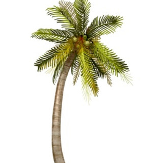 Foto del escritor: Arenas Blancas, Michoacán