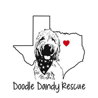Writer: Doodle Dandy Rescue