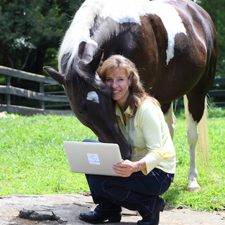 Writer: Horse World Connect