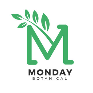 Writer: Monday Botanical