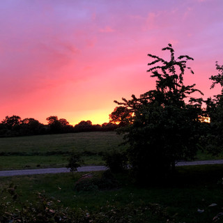 Photo du rédacteur: Morillon 2026